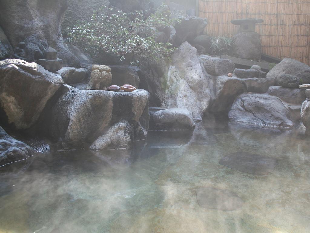 Sumiyosiya Ryokan Nozawaonsen Dış mekan fotoğraf